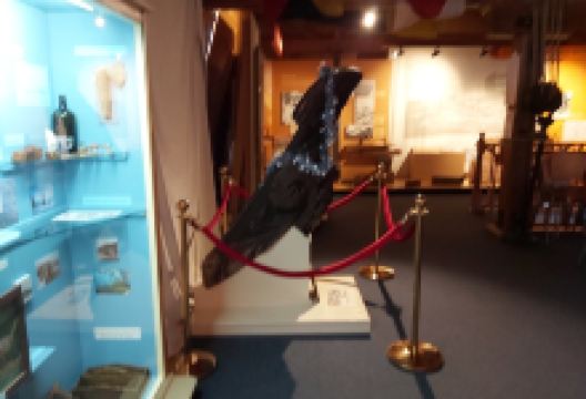 Edwin Fox Maritime Museum景点图片