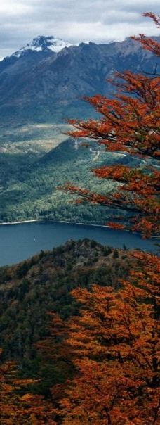 Cerro Otto-圣卡洛斯-德巴里洛切