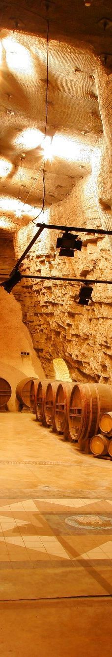 Terra Vinea-波尔泰代科尔比埃