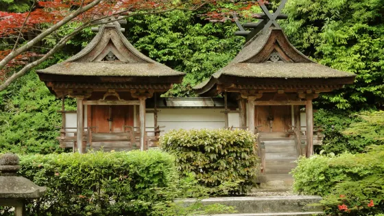 圓成寺