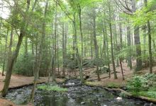 Mowry Conservation Area景点图片