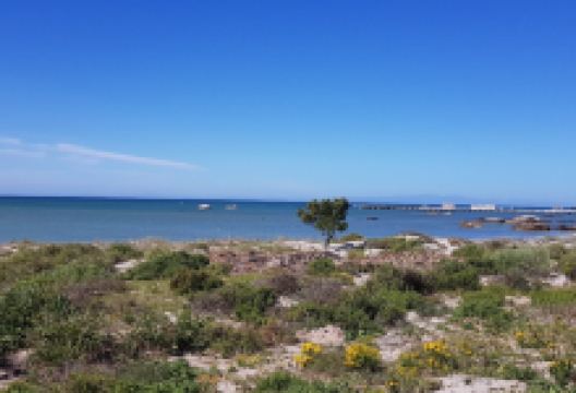 Vasco Da Gama Statue景点图片