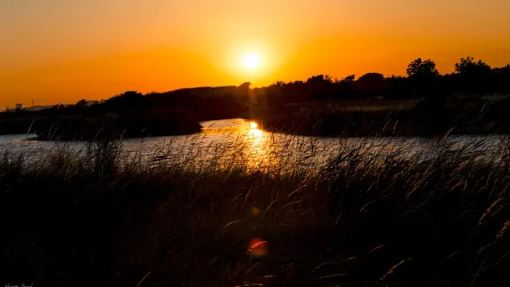 Shoebury Common Beach