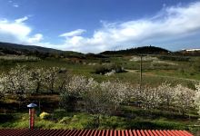 Argatia Winery景点图片