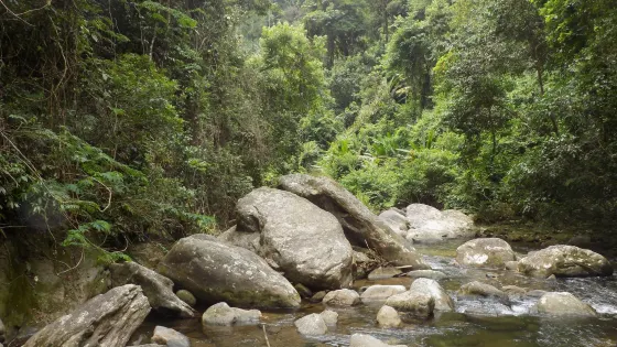 Cachoeira do Poço Tenebroso