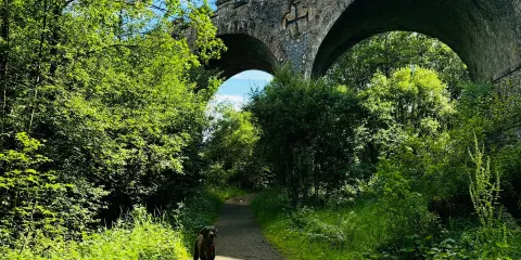 Kielder Castle Visitor Centre