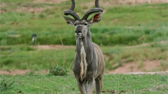 Adventure Makers Tanzania