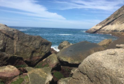 Enseada do Bananal景点图片