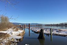 Peace Park景点图片