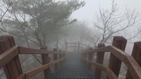 新林峰