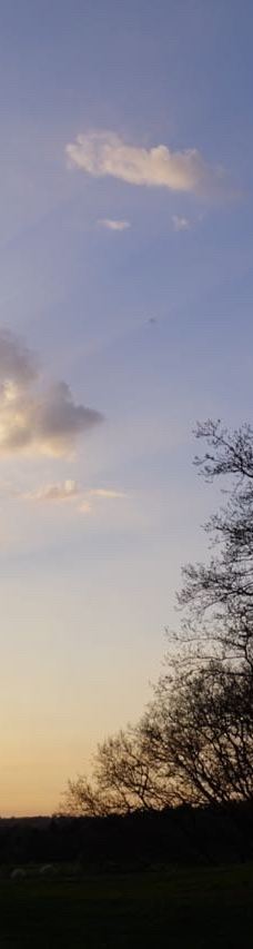 Svanninge Bakker-福堡