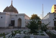 Bandarabbas Birdgarden景点图片