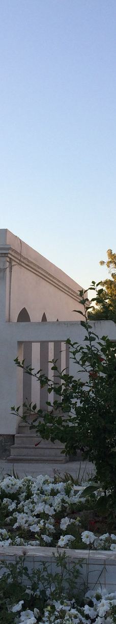 Bandarabbas Birdgarden-阿巴斯港