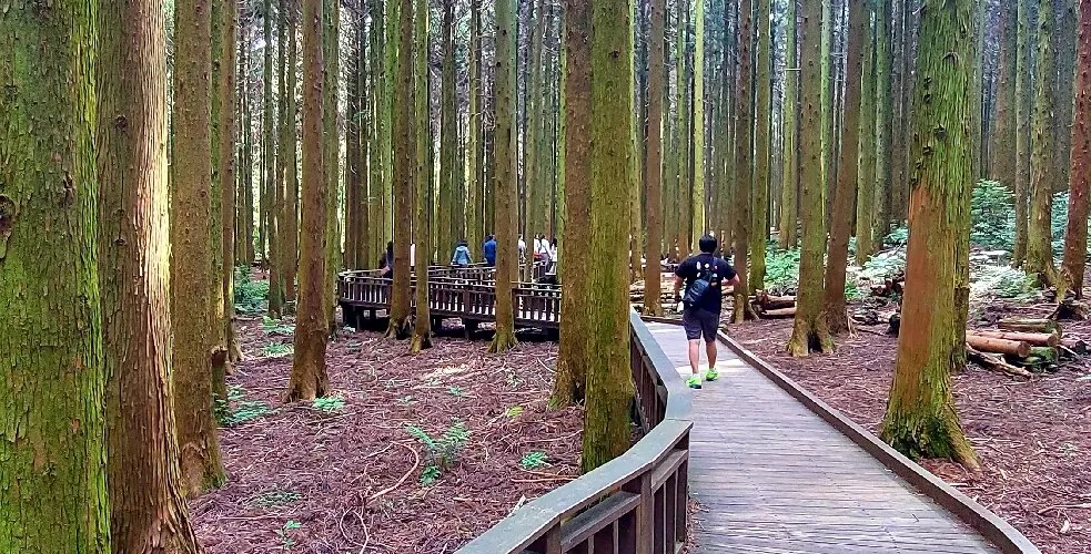 永安旅遊