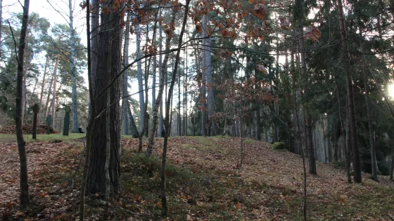Zemaiciu Alkas