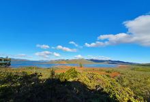Caledonia Birds - Guide expert en ornithologie - Birding in New Caledonia景点图片