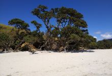 Otama River景点图片