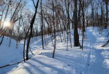 Wolsfeld Woods Scientific and Nature Center景点图片
