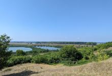 "Delta" de la Gârla Mare景点图片