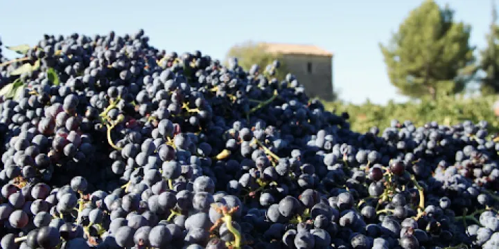 Domaine du Grand Jacquet