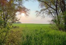 Gerry Maloney Nature Area景点图片