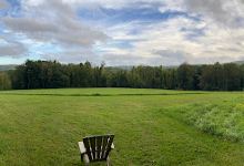 Volunteer Park景点图片