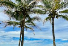 Praia de Manguinhos景点图片