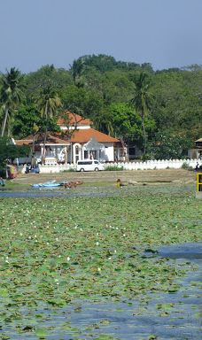 Yoda Lake-汉班托特
