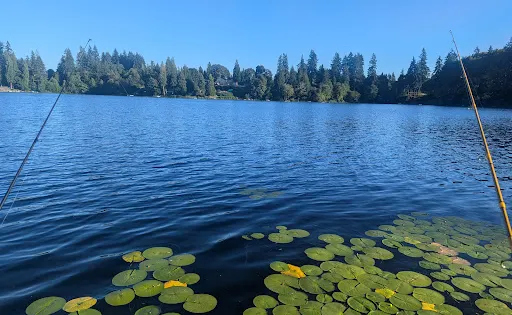 Ward Lake Park