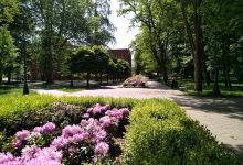 Park Chopina景点图片