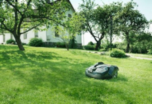 Alms Motor AB购物图片