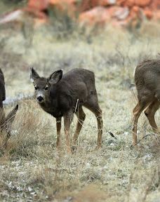 The Grotto Picnic Area-华盛顿县