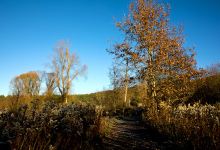 Eulenmühle, Naturerlebnispfad (START)景点图片