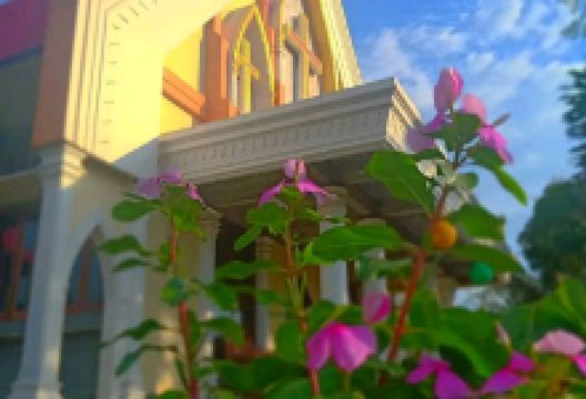 Gereja Kibaid Wasuponda景点图片
