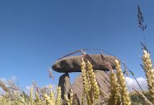 Dolmen de Poulyot景点图片
