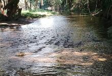 Río "TANKOKO"景点图片