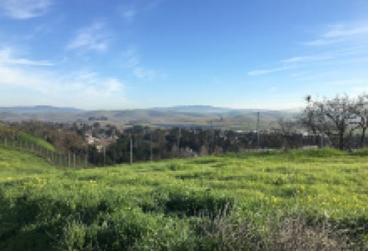 Dougherty Hills Dog Park景点图片