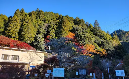 鳳來寺山自然科學博物館