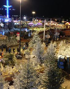 The pine forest of Le Barcarès-勒巴尔卡雷