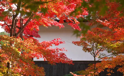 兩足寺