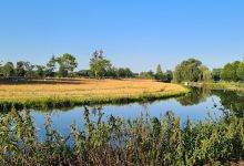 Lehrpfad des NABU Wilster景点图片