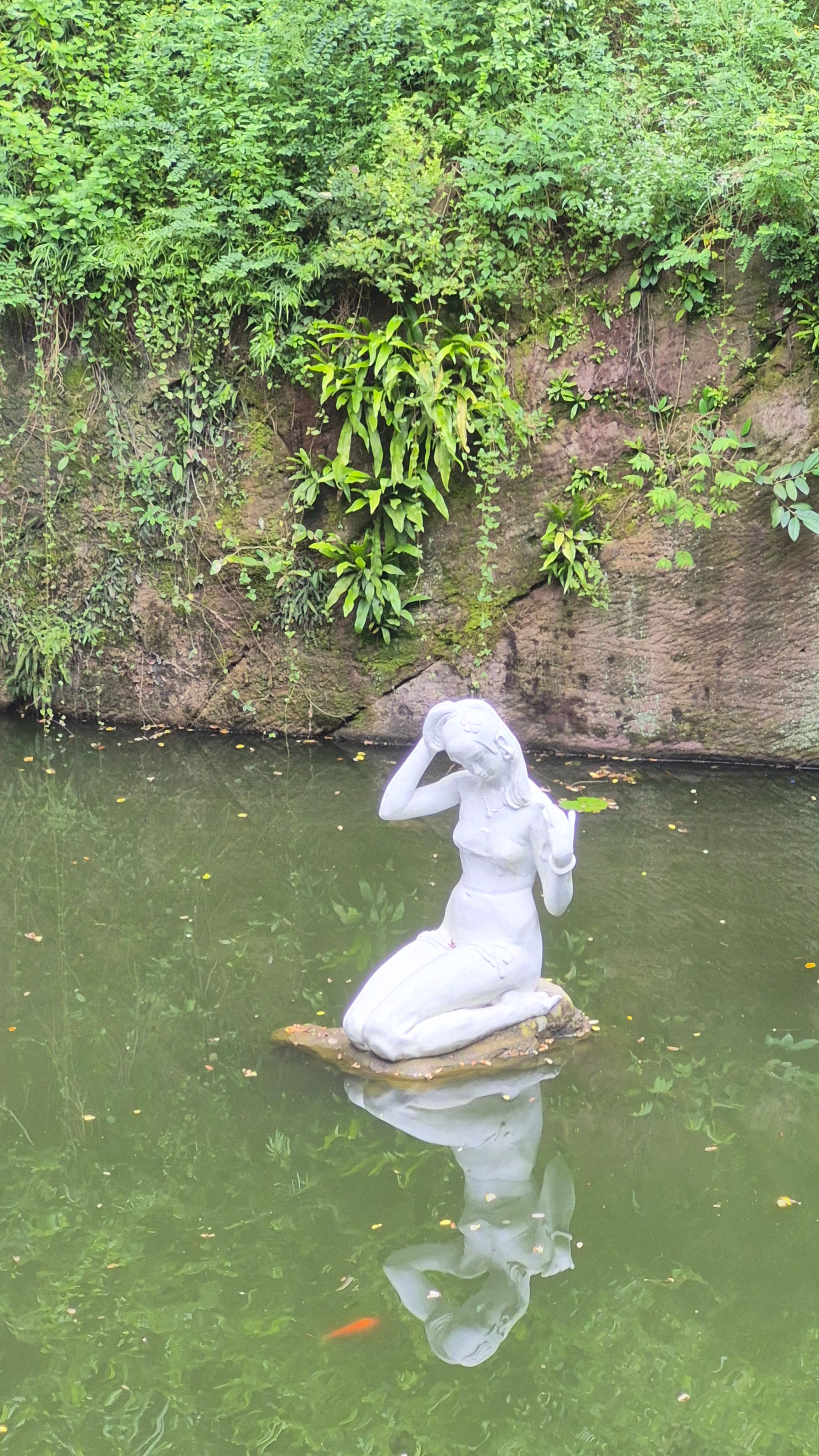 莲花山景点图片 23
