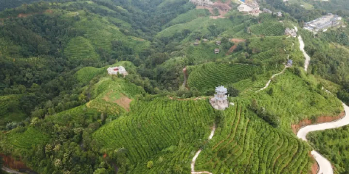 凌雲茶山汽車營地