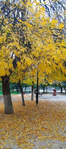 Potomkinskyi Garden Square-Khersons'ka city council