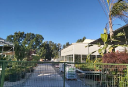 Manei's - Zezereplant - Tomar购物图片