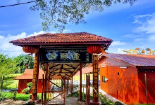 Peninsula Plantation, Pineapple Farm购物图片
