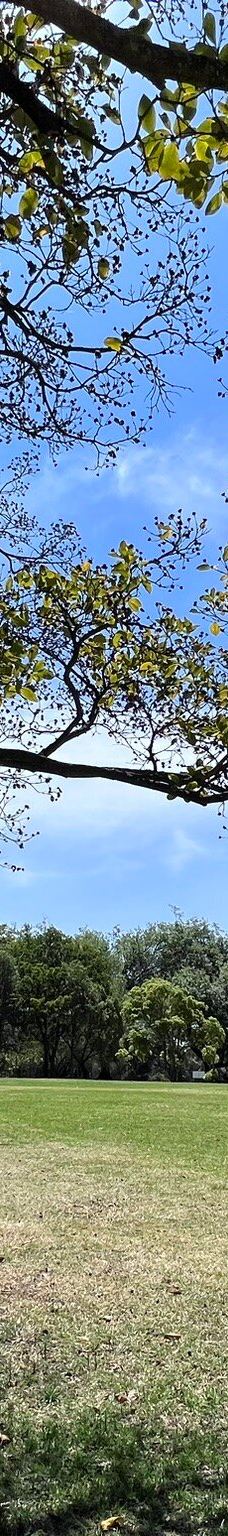 约翰内斯堡植物园-兰德堡