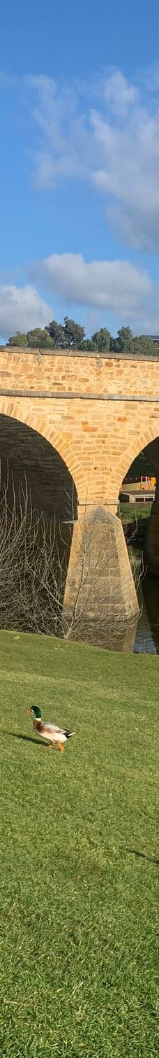 里士满桥-里士满