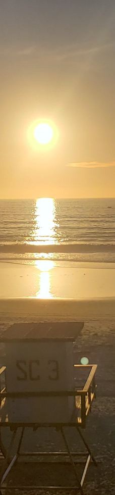 Salt Creek Beach-达纳点