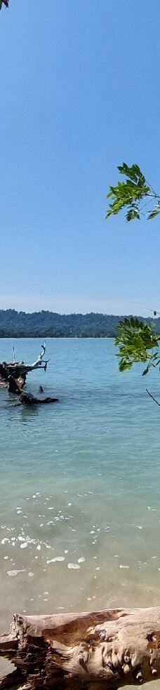 卡维塔国家公园-Talamanca